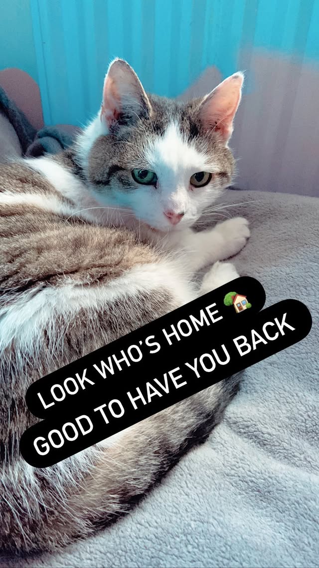 Pistachio's second favorite spot